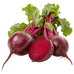 Свёкла молодая