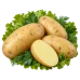 Картофель Королева Анна