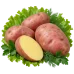 Картофель Журавинка