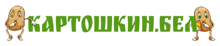 Картошкин.бел